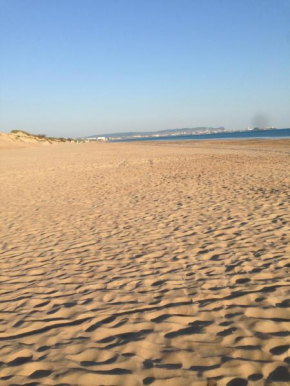 Studio Seashore